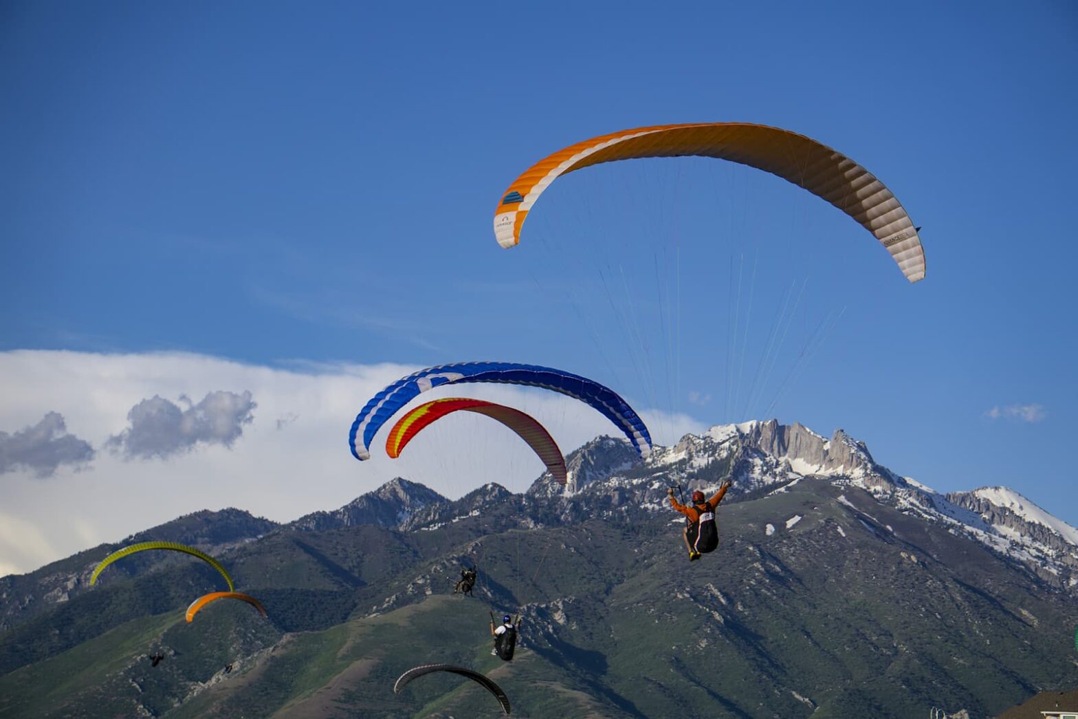 Three hang gliders in the air
